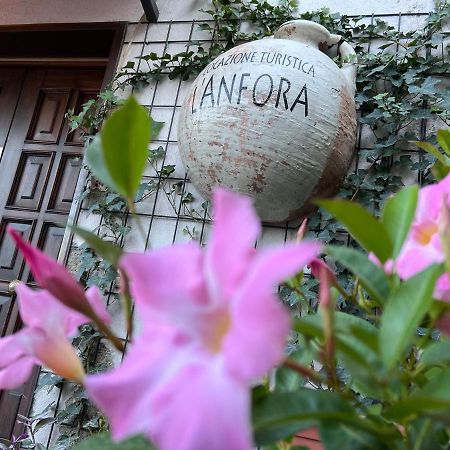 L' Anfora Locazione Turistica Apartamento Terni Exterior foto